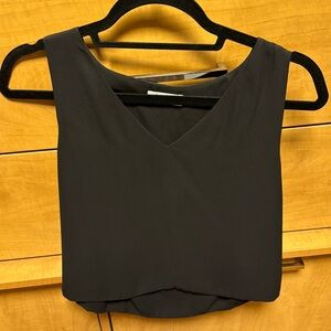 Aritzia Babaton v neck sleeveless blouse